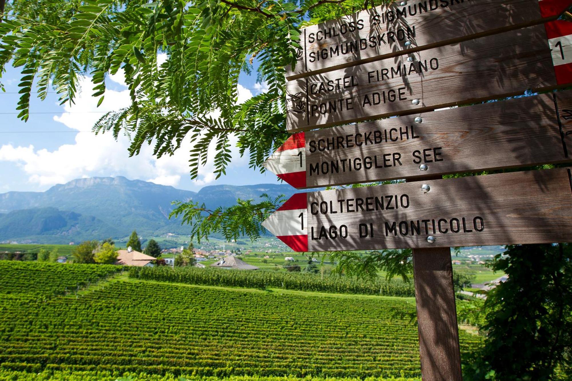 Belia Lofts - Adults Only - Apartments Appiano Sulla Strada Del Vino Dış mekan fotoğraf