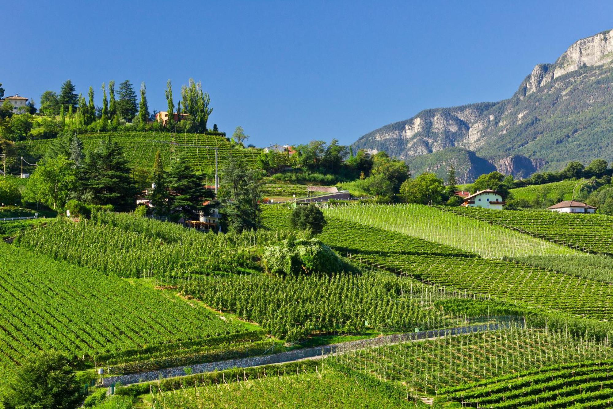 Belia Lofts - Adults Only - Apartments Appiano Sulla Strada Del Vino Dış mekan fotoğraf