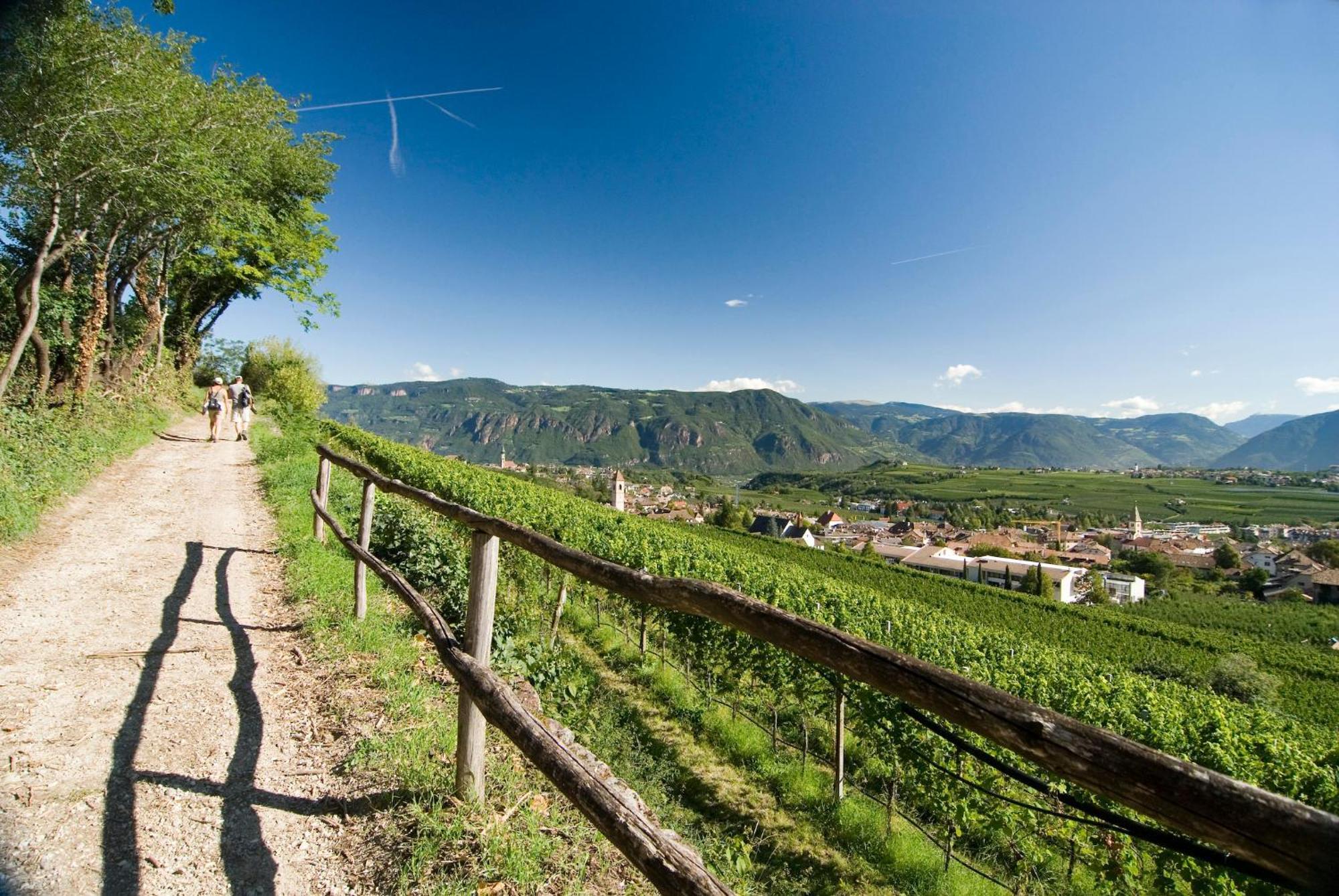 Belia Lofts - Adults Only - Apartments Appiano Sulla Strada Del Vino Dış mekan fotoğraf